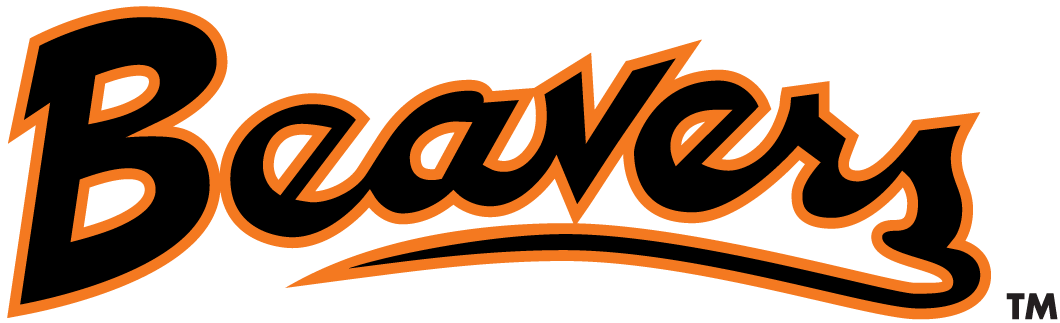 Oregon State Beavers 1979-1996 Wordmark Logo v2 diy fabric transfer